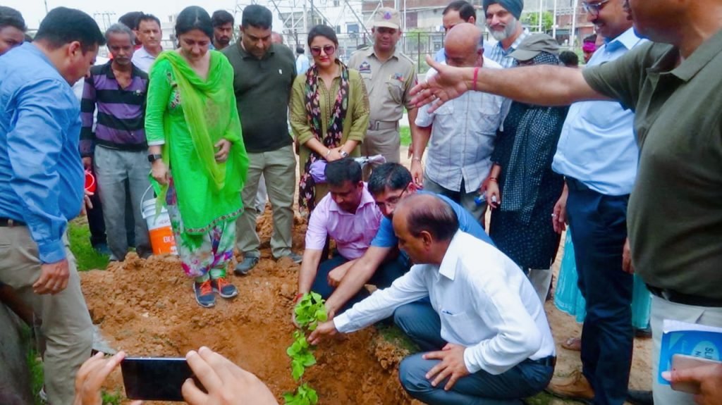 VC JDA starts plantation drive in Muthi