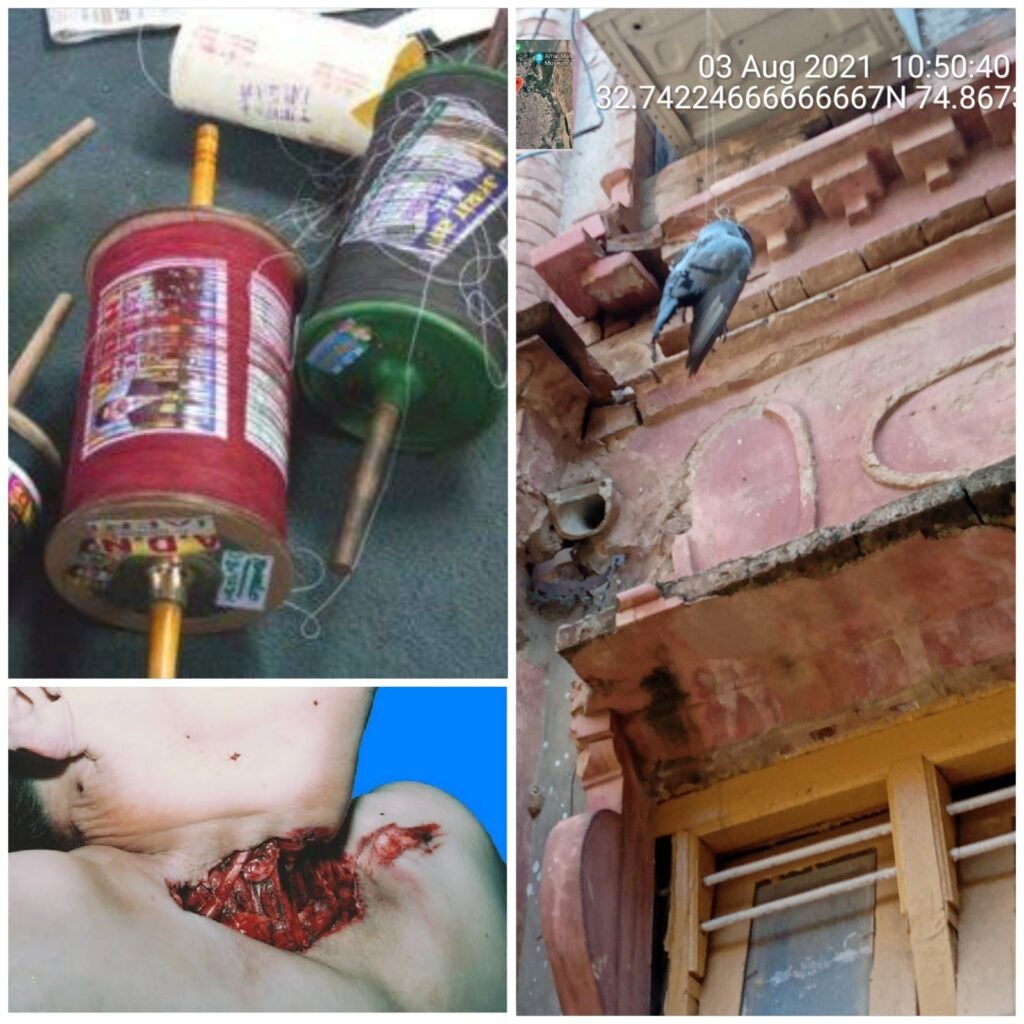 Killer ‘Manja’ on rampant sale in market, Administration in slumber