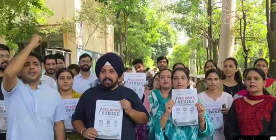₹900 a Day: J&K’s Contractual College Teachers Protest Meagre Pay